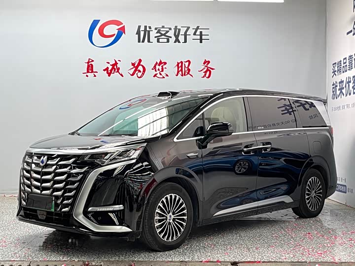 Denza D9 2025 DM-i smart driving version 1020 four-wheel drive premium model