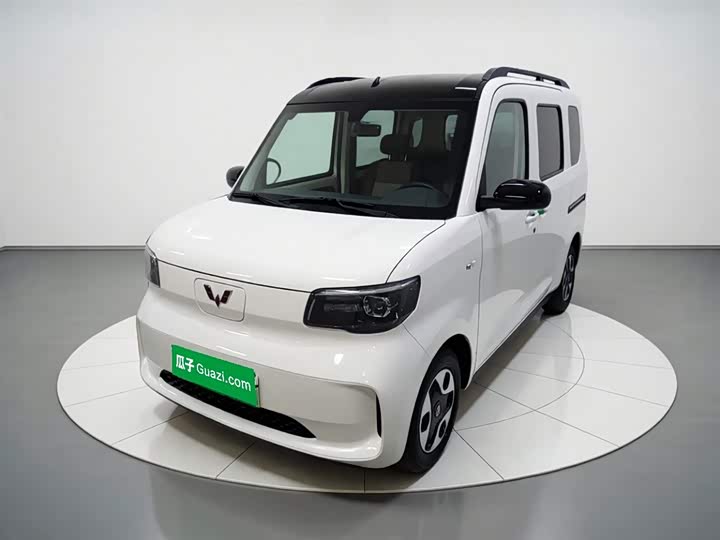 Wuling Zhiguang New Energy 2025 305km Enterprising Type