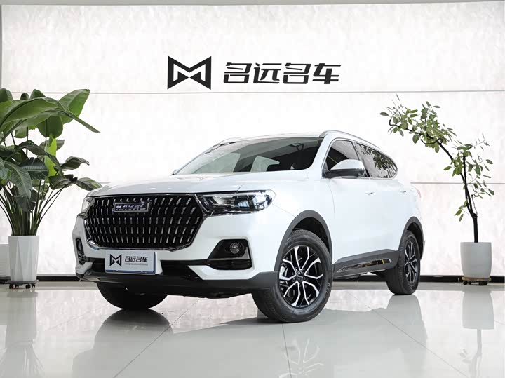 Haval H6 2023 National Fashion Edition 1.5T Automatic Urban Edition