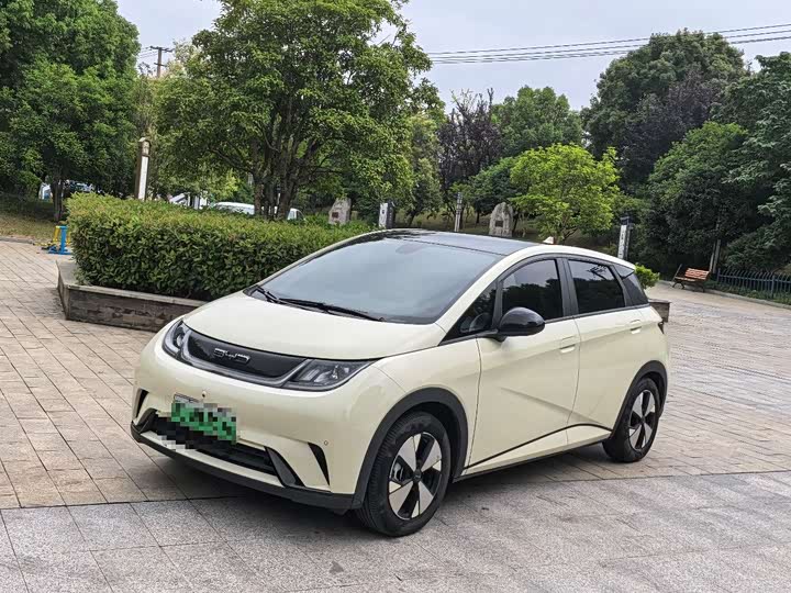 Dolphin 2024 Honor Edition 420km Fashion Edition