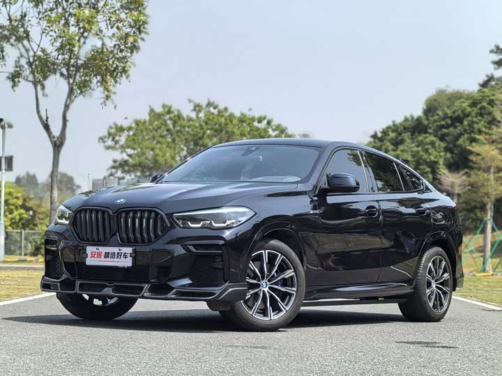 2022 BMW X6 2022 xDrive30i M Sports Package