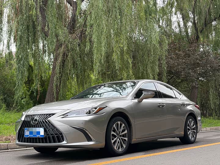 2022 Lexus ES 2022 200 Excellence Edition