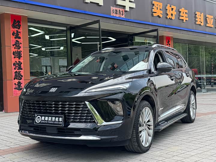 Envision Plus 2025 Envision Plus four-wheel drive Avenir