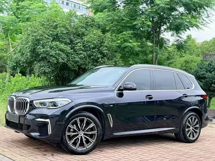 BMW X5 2022 xDrive 30Li Exclusive M Sports Package