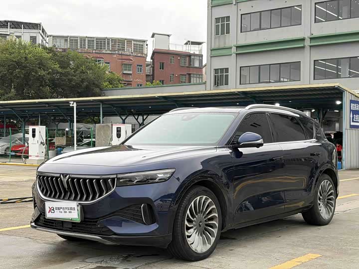 Lantu FREE 2021 four-wheel drive standard extended range exclusive luxury package