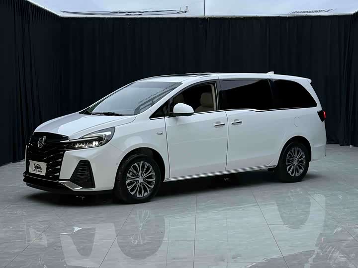 Buick GL8 2023 land business class premium type