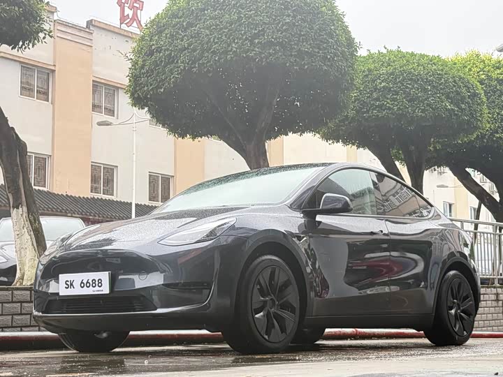 Model Y 2024 rear-wheel drive version