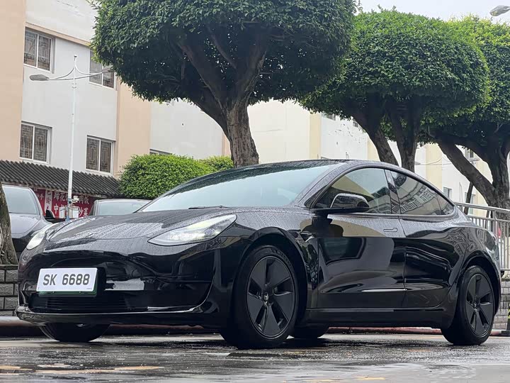 Model 3 2022 rear-wheel drive version