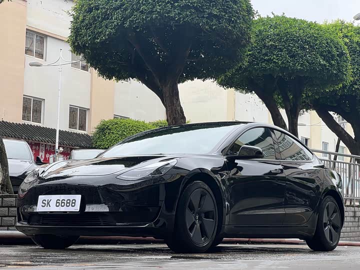 Model 3 2021 facelift standard range rear drive upgraded version 3D1