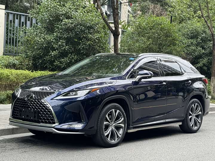 Lexus RX 2020 300 four-wheel drive elegant version National VI