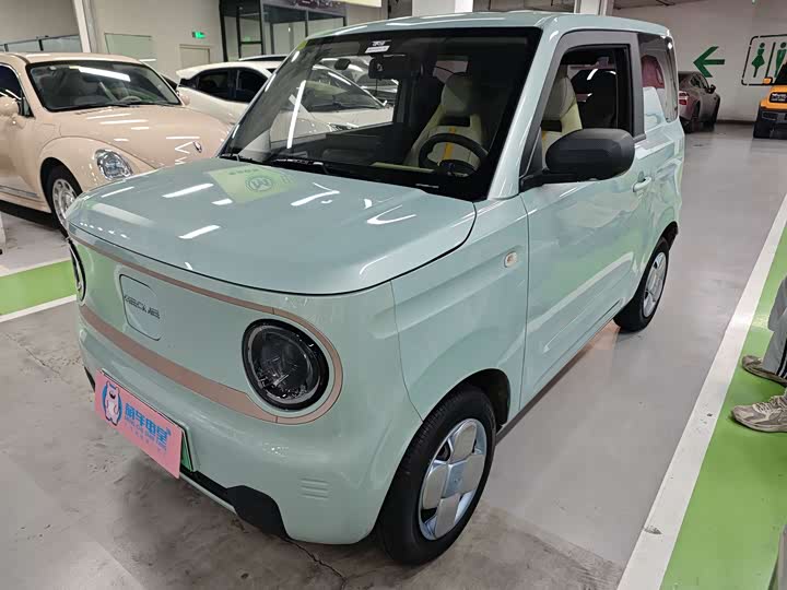 Panda 2023 Panda mini 200km endurance bear