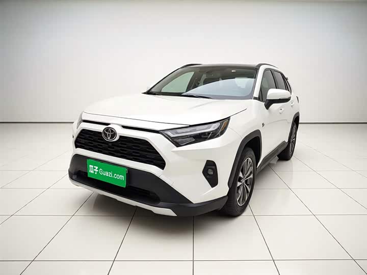 RAV4 Rongfang 2023 2.0L CVT two-wheel drive 20th anniversary platinum commemorative edition