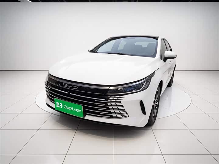 Destroyer 05 2024 Honor Edition DM-i 55KM Luxury Type