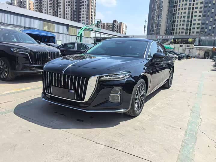 Hongqi H5 2024 2.0T Automatic Zhilianqichang Edition