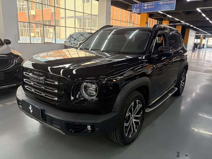 Haval Big Dog 2021 1.5T DCT two-wheel drive Border Collie version