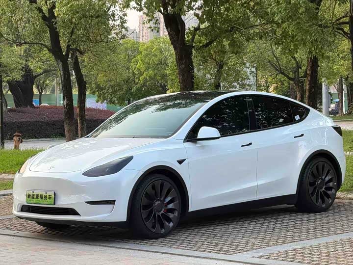Model Y 2022 Performance high-performance all-wheel drive version
