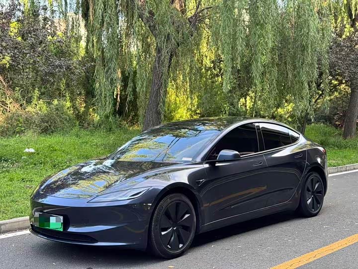 Model 3 2023 rear-wheel drive version