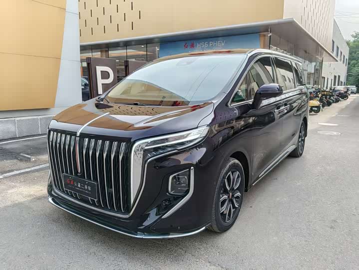Hongqi HQ9 2023 2.0T Zhilian Qiling Edition