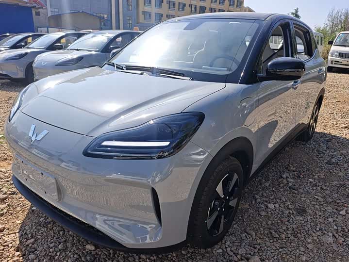 Wuling Bingo PLUS 2024 510km five-seater version