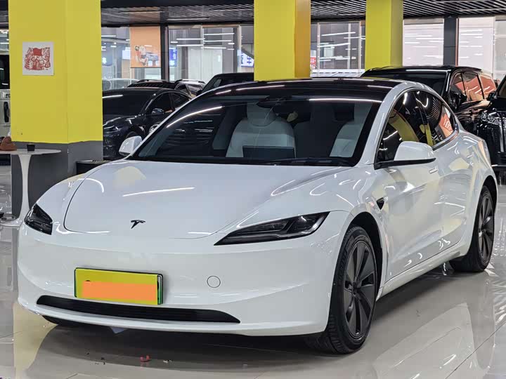 Model 3 2023 rear-wheel drive version