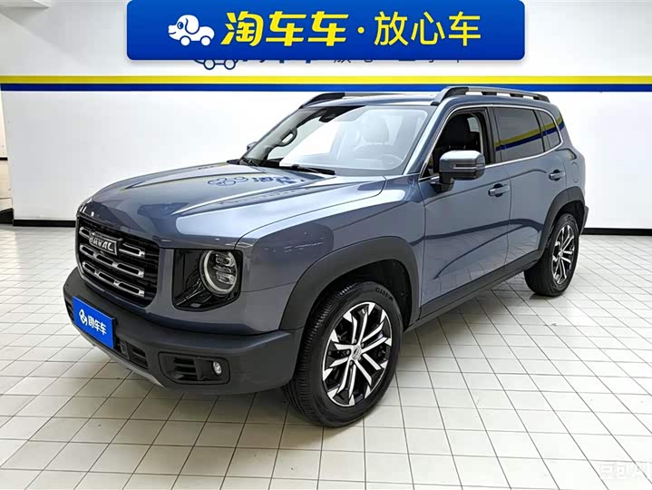 Haval Big Dog 2021 1.5T DCT two-wheel drive Border Collie version