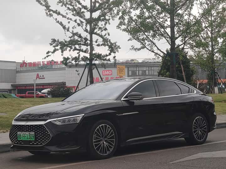 Han 2023 DM-i Champion Edition 121KM Exclusive Type