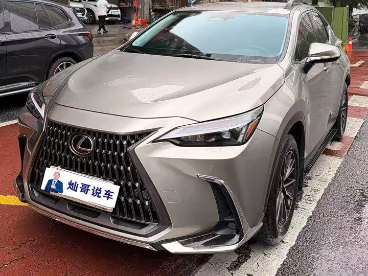 Lexus NX 2024 260 front-wheel drive Chuangchi version