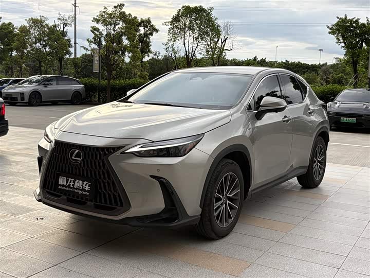 Lexus NX 2024 260 front-wheel drive Chuangchi version