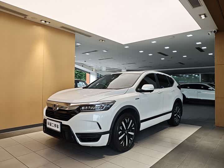 Haoying 2021 Rui·Hybrid 2.0L 2WD Rui·Elite Edition