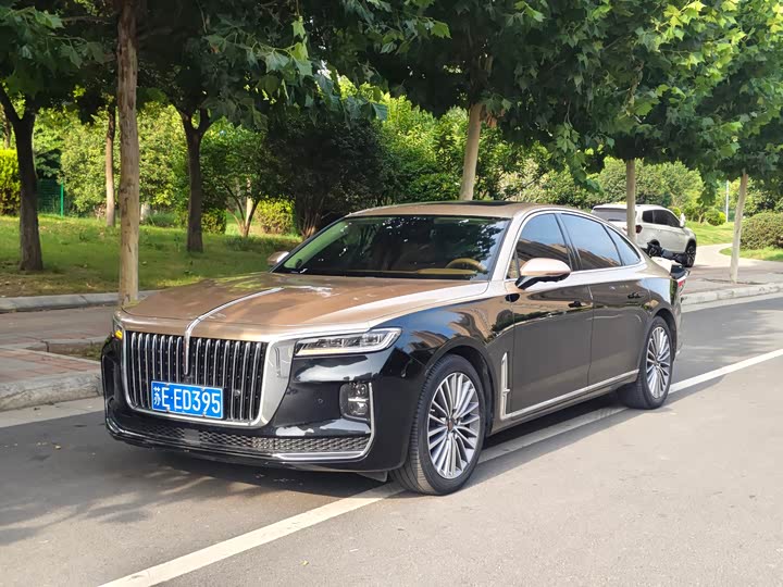 Hongqi H9 2020 2.0T Zhilian Qichang Edition