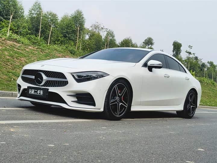 Mercedes-Benz CLS 2021 CLS 300 Luxury