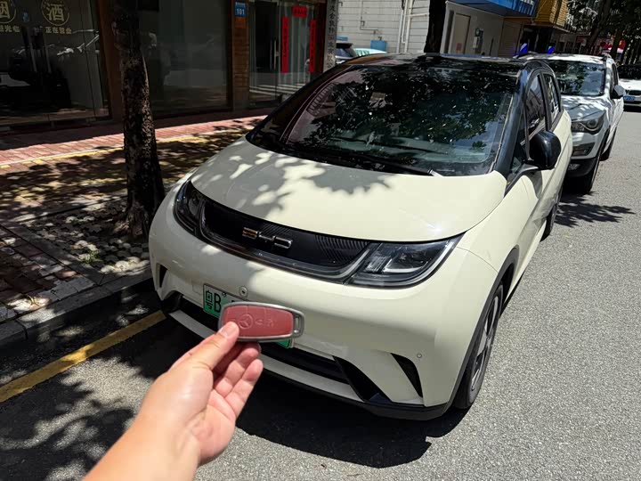 Dolphin 2024 Honor Edition 420km Fashion Edition