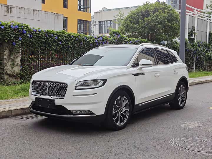 Voyager 2021 2.0T four-wheel drive elegant version