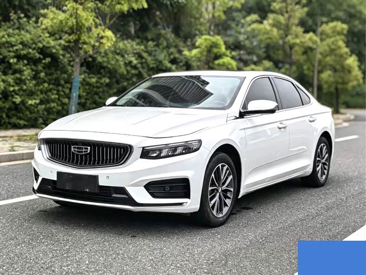 Xingrui 2021 2.0TD luxury model