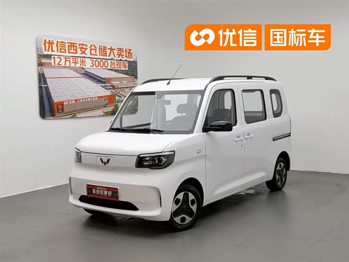 Wuling Zhiguang New Energy 2025 Model 201km Comfort Model