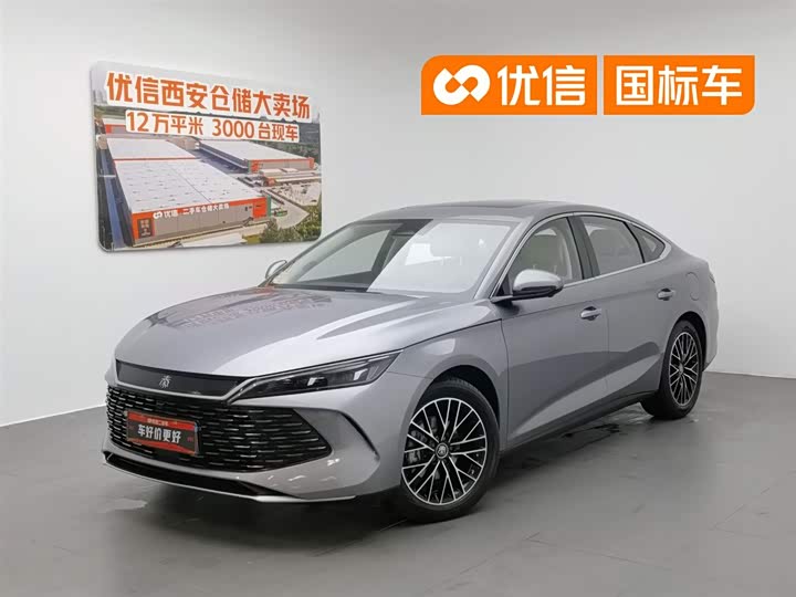 Qin L 2024 DM-i 120KM Excellent Type