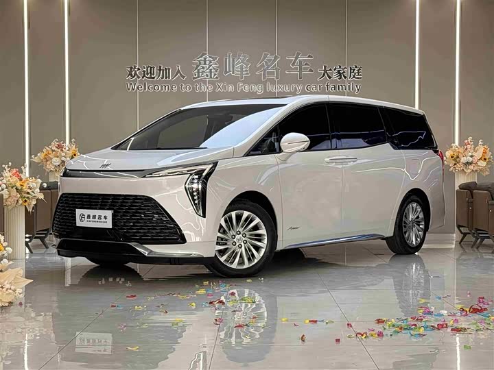 Century 2025 Model 2.0T Seven-Seater Yunshi Edition