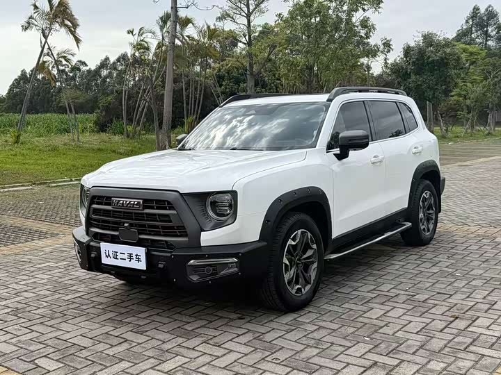 Havaldog 2022 2.0T DCT four-wheel drive Chinese pastoral dog hunting version