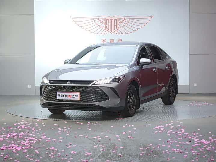 Qin PLUS 2025 DM-i smart driving version 55KM leading model