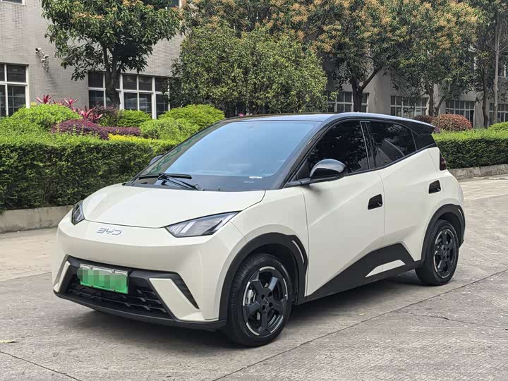 Seagull 2024 Honor Edition 405km Flying Edition