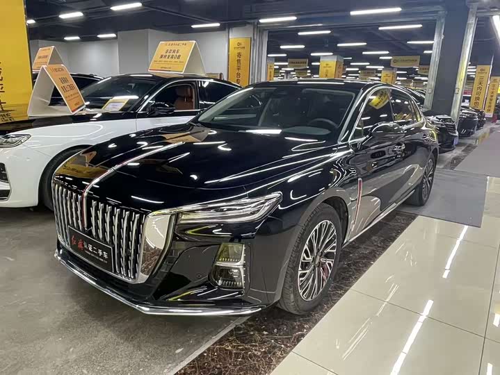 Hongqi H5 2024 2.0T Automatic Zhilianqichang Edition