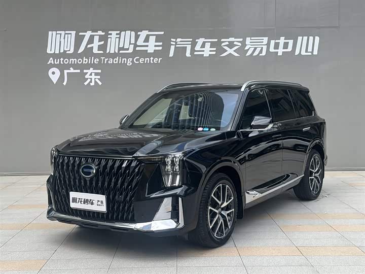 Trumpchi GS8 2024 Dual Engine Series 2.0TM Two-wheel drive Premium Edition