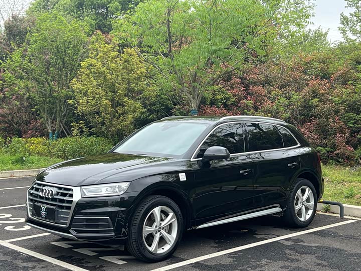 Audi Q5L 2020 40 TFSI Luxury Progressive