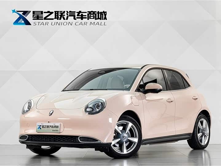Euler Good Cat 2023 model 401km standard battery life luxury model lithium iron phosphate