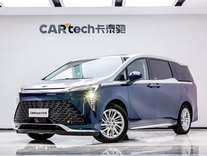 Century 2025 2.0T Six-seater Yuanshi Edition