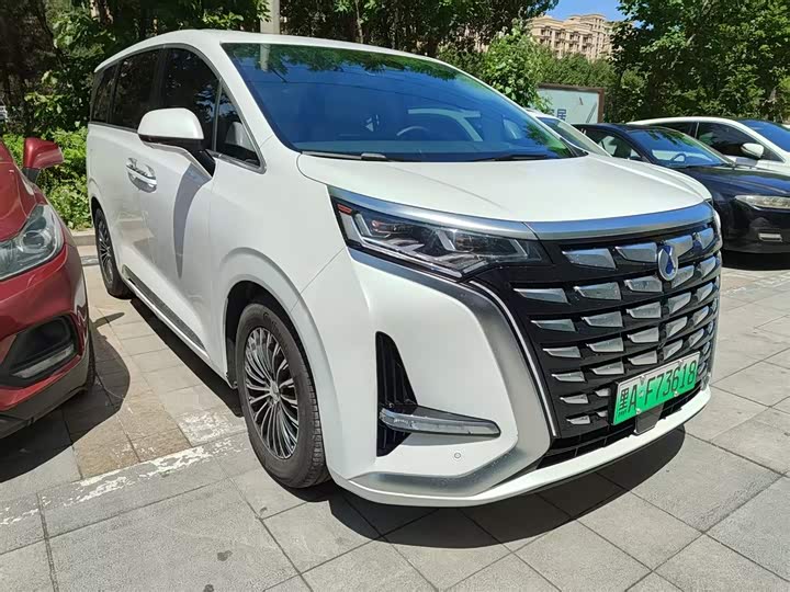 Denza D9 2024 DM-i 980 four-wheel drive premium model