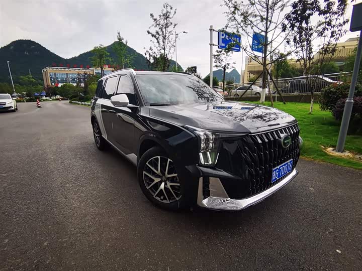 Trumpchi GS8 2022 Dual Engine Series 2.0TM Two-wheel drive Premium Edition (seven seats)