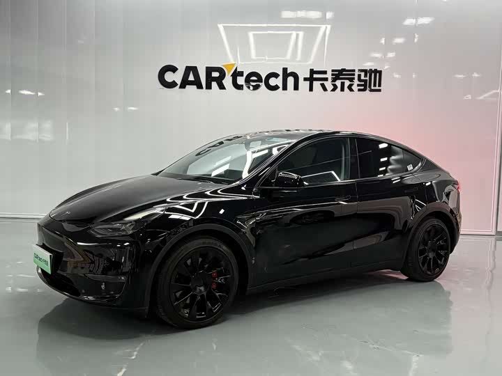 Model Y 2021 standard range rear-wheel drive version