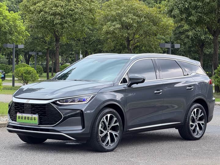 Tangxin Energy 2025 DM-i 115KM Honor Type