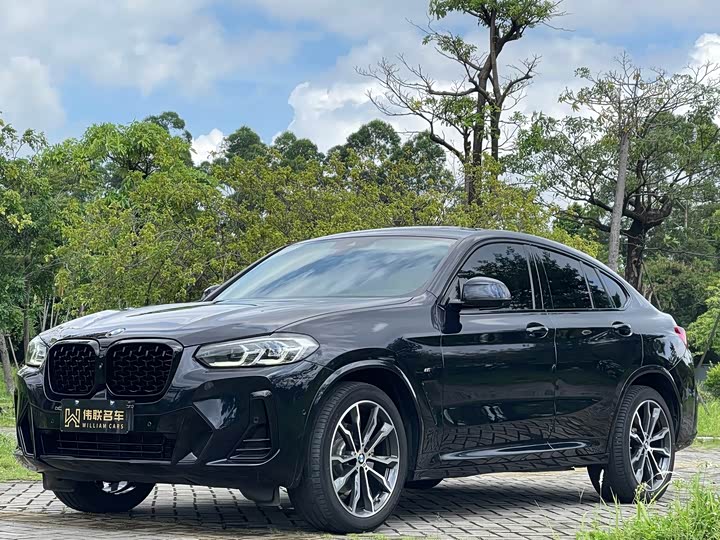 BMW X4 2022 xDrive 30i M Sports Package